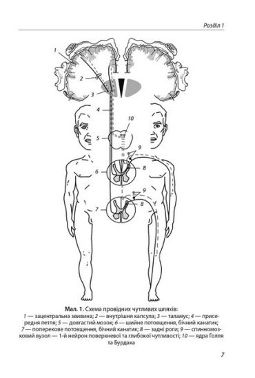Неврологія з нейростоматологією - фото 4