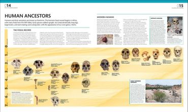 The Complete Human Body - фото 2