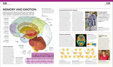 The Complete Human Body - фото 8