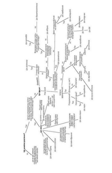 Фрукти проти овочів - фото 10