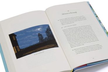 Spring Cannot Be Cancelled: David Hockney in Normandy - фото 5