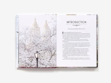 New York in Bloom - фото 2