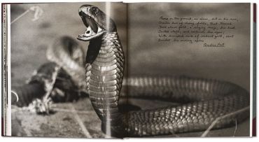 Peter Beard. The End of the Game (PHOTO) - фото 2