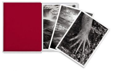 Sebastiao Salgado. GENESIS. Postcard Set - фото 3