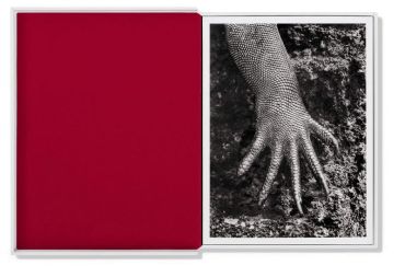 Sebastiao Salgado. GENESIS. Postcard Set - фото 5