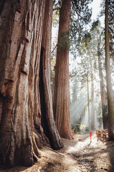 The Hidden Tracks: Wanderlust – Outdoor Adventures off the Beaten Path - фото 6