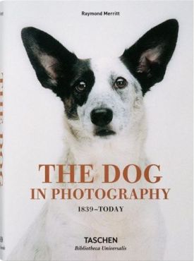 The Dog in Photography 1839-Today