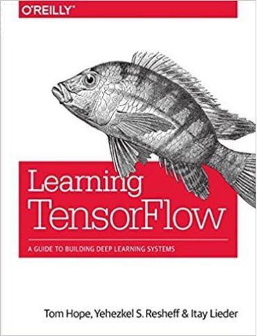 Learning TensorFlow: A Guide to Building Deep Learning Systems 1st Edition - фото 1