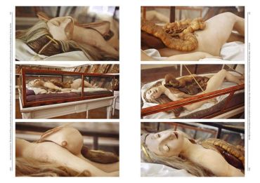 The Anatomical Venus - фото 2