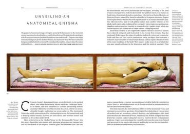 The Anatomical Venus - фото 4