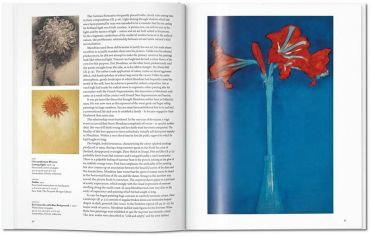 Mondrian - фото 5