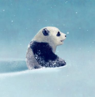 Нові історії про Пандімуна (зимова обкладинка) - фото 5