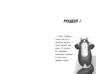 Тото. Кішка-ніндзя та справа про викрадення сиру. Книга 2 - фото 3