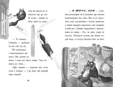 Тото. Кішка-ніндзя та справа про викрадення сиру. Книга 2 - фото 5