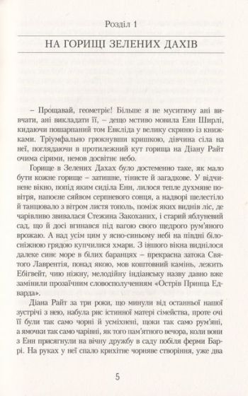 Енн у домі мрії. Енн із Зелених Дахів. Книга 5 - фото 4