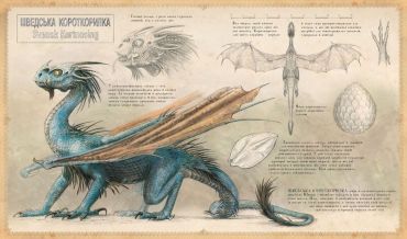 Гаррі Поттер і Келих Вогню. Велике ілюстроване видання - фото 3