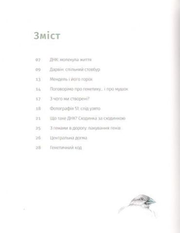 Однакові чи різні? Геноміка - фото 2