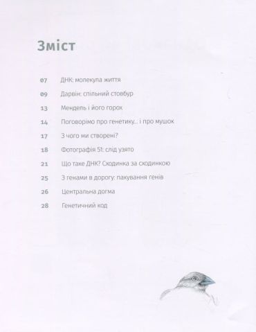Однакові чи різні? Геноміка - фото 5