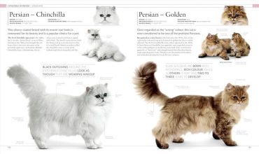 The Cat Encyclopedia - фото 8