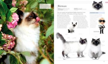 The Cat Encyclopedia - фото 9