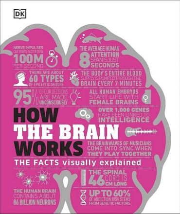 How the Brain Works - фото 1