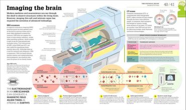 How the Brain Works - фото 3