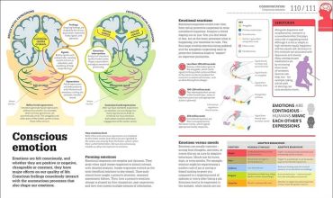 How the Brain Works - фото 6