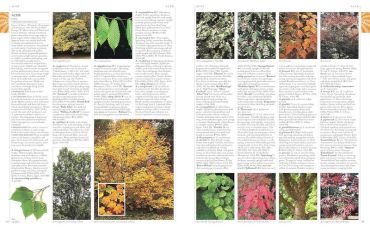RHS A-Z Encyclopedia of Garden Plants. 4th edition - фото 4
