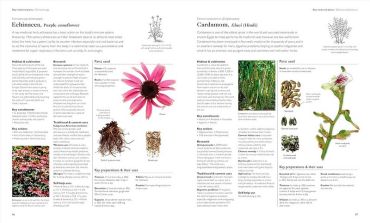 Encyclopedia Of Herbal Medicine. New Edition - фото 4