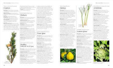 Encyclopedia Of Herbal Medicine. New Edition - фото 7