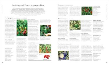 RHS Encyclopedia of Gardening - фото 7