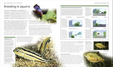 Encyclopedia of Aquarium and Pond Fish - фото 2