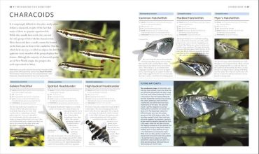 Encyclopedia of Aquarium and Pond Fish - фото 3
