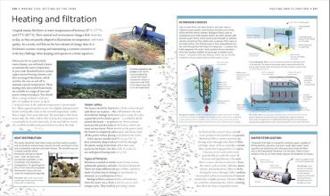 Encyclopedia of Aquarium and Pond Fish - фото 6