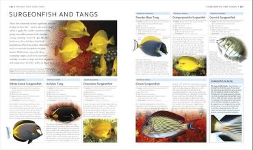 Encyclopedia of Aquarium and Pond Fish - фото 7