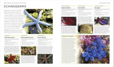 Encyclopedia of Aquarium and Pond Fish - фото 8