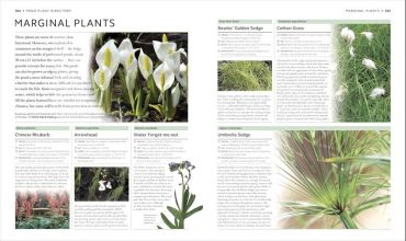 Encyclopedia of Aquarium and Pond Fish - фото 9