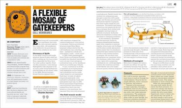 The Biology Book. Big Ideas Simply Explained - фото 2