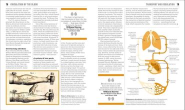 The Biology Book. Big Ideas Simply Explained - фото 5