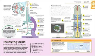 How Biology Works. The Facts Visually Explained - фото 4