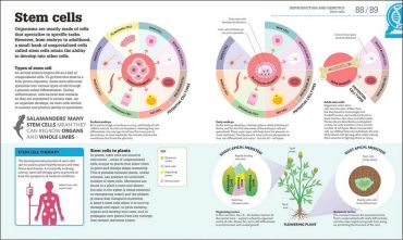 How Biology Works. The Facts Visually Explained - фото 6