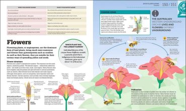 How Biology Works. The Facts Visually Explained - фото 9