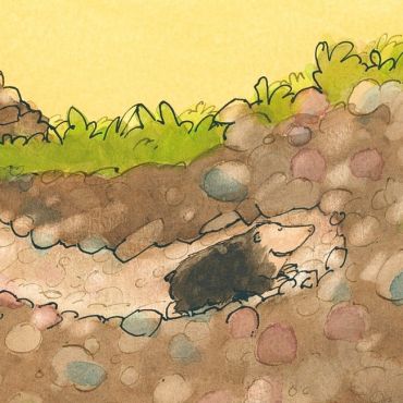 Кріт у халепі - фото 5