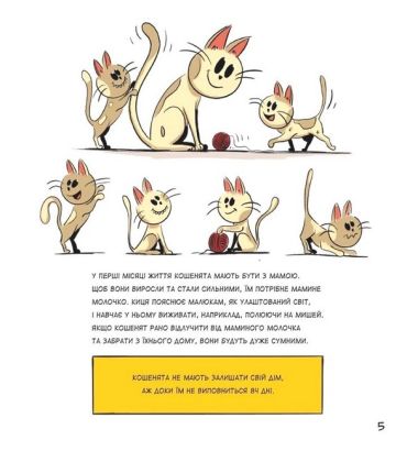 Коти чудові, але... - фото 5