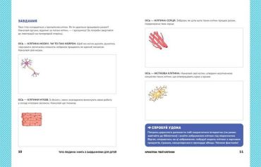 Тіло людини. Книжка з розвивальними завданнями для дітей - фото 4