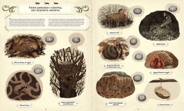 Що будують звірята? - фото 2