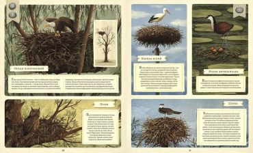 Що будують звірята? - фото 5