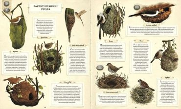 Що будують звірята? - фото 6