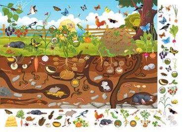 Книга-картонка. Великий віммельбух. Мікросвіт - фото 2