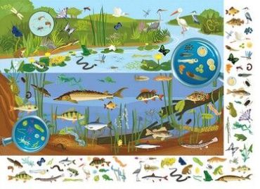 Книга-картонка. Великий віммельбух. Мікросвіт - фото 3